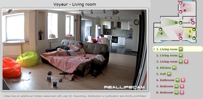 Reallifecam Anabel Masturebating In Living Room